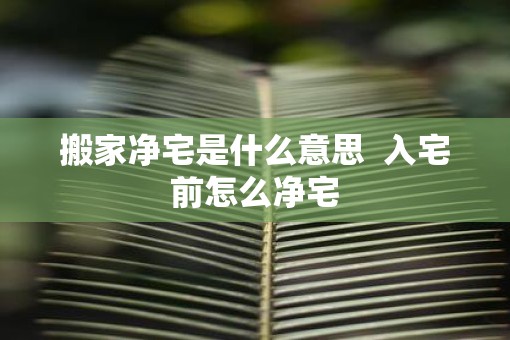 搬家净宅是什么意思  入宅前怎么净宅