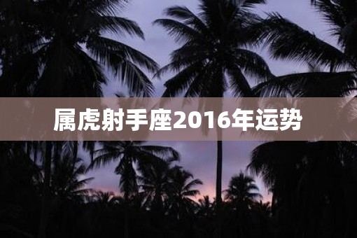 属虎射手座2016年运势