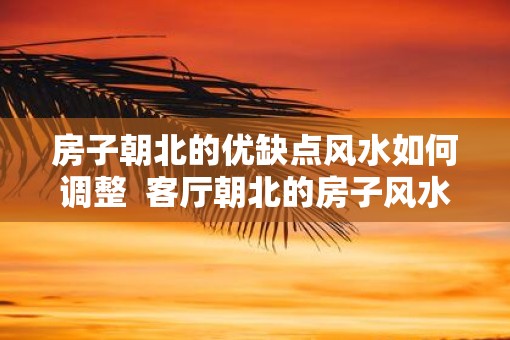 房子朝北的优缺点风水如何调整  客厅朝北的房子风水好不好