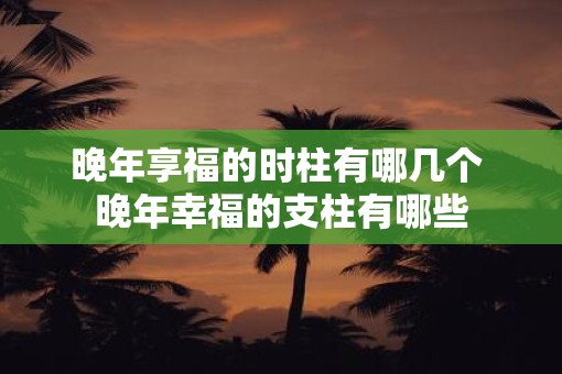 晚年享福的时柱有哪几个 晚年幸福的支柱有哪些