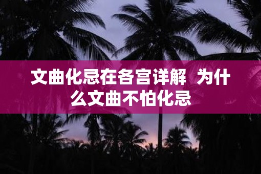 文曲化忌在各宫详解  为什么文曲不怕化忌