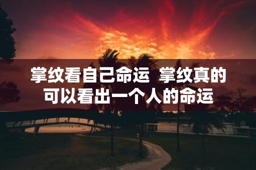 掌纹看自己命运  掌纹真的可以看出一个人的命运