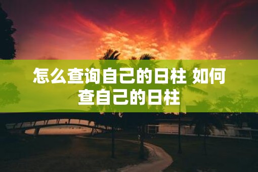 怎么查询自己的日柱 如何查自己的日柱