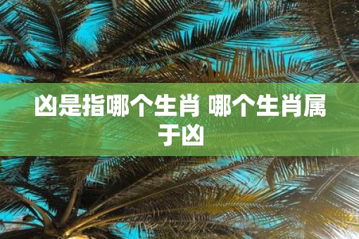 凶是指哪个生肖 哪个生肖属于凶