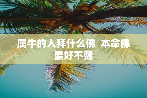 属牛的人拜什么佛  本命佛最好不戴