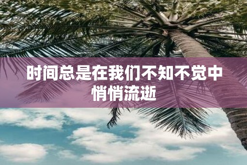 时间总是在我们不知不觉中悄悄流逝