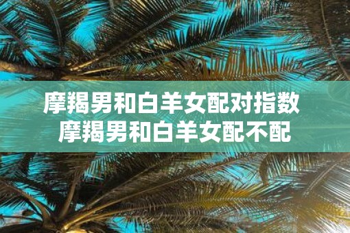 摩羯男和白羊女配对指数 摩羯男和白羊女配不配