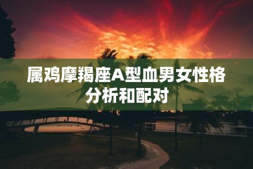 属鸡摩羯座A型血男女性格分析和配对