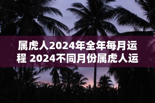 属虎人2025年全年每月运程 2025不同月份属虎人运势详解