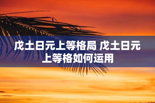 戊土日元上等格局 戊土日元上等格如何运用