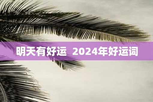 明天有好运  2025年好运词