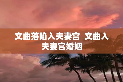 文曲落陷入夫妻宫  文曲入夫妻宫婚姻