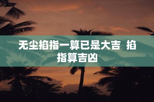 无尘掐指一算已是大吉 掐指算吉凶 无尘掐指一算已是大吉 掐指算吉凶