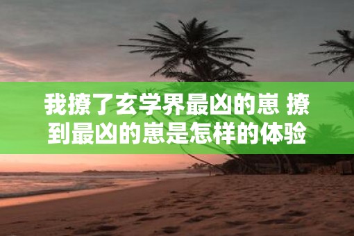 我撩了玄学界最凶的崽 撩到最凶的崽是怎样的体验