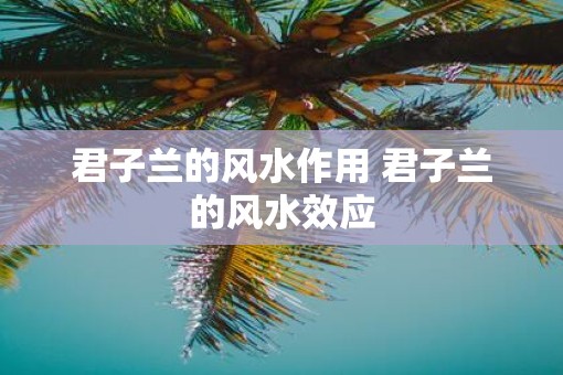 君子兰的风水作用 君子兰的风水效应