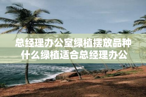 总经理办公室绿植摆放品种 什么绿植适合总经理办公室