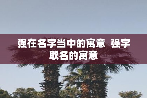 强在名字当中的寓意  强字取名的寓意