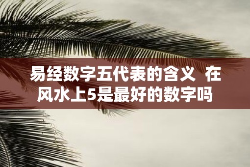 易经数字五代表的含义  在风水上5是最好的数字吗
