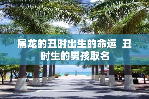 属龙的丑时出生的命运  丑时生的男孩取名