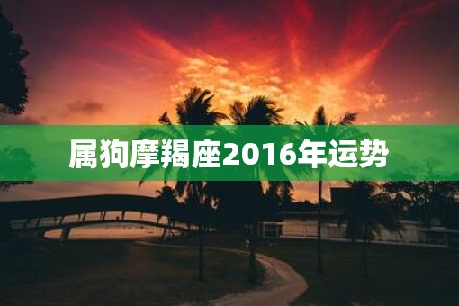 属狗摩羯座2016年运势
