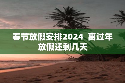 春节放假安排2025  离过年放假还剩几天