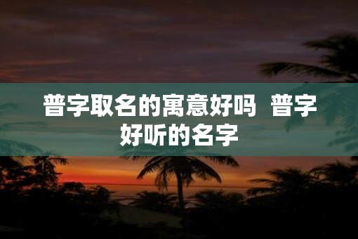 普字取名的寓意好吗  普字好听的名字