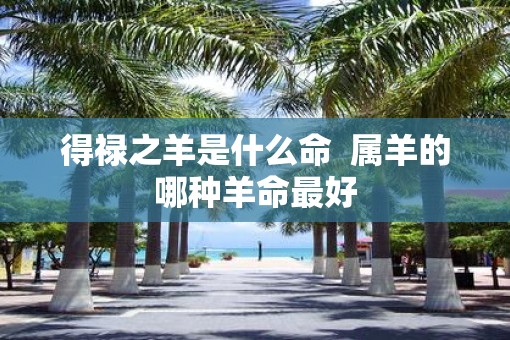 得禄之羊是什么命  属羊的哪种羊命最好