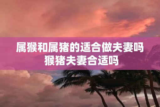 属猴和属猪的适合做夫妻吗 猴猪夫妻合适吗 属猴和属猪的适合做夫妻吗 猴猪夫妻合适吗