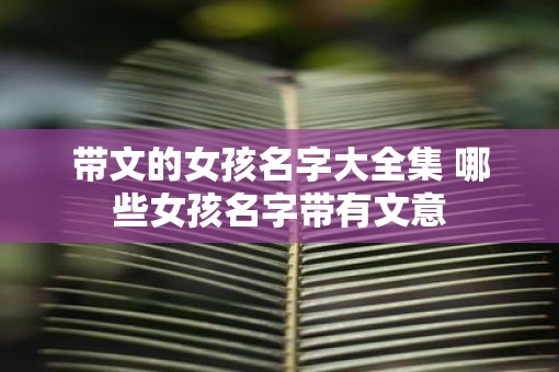 带文的女孩名字大全集 哪些女孩名字带有文意