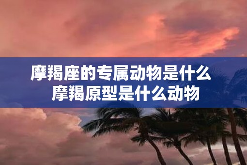 摩羯座的专属动物是什么  摩羯原型是什么动物