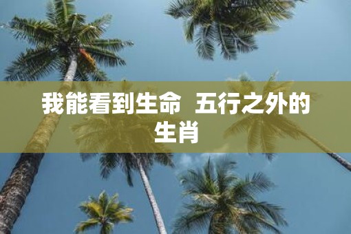 我能看到生命  五行之外的生肖
