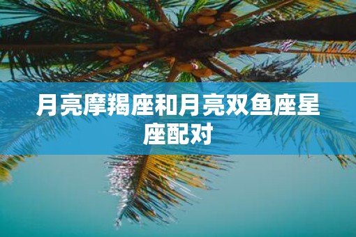 月亮摩羯座和月亮双鱼座星座配对