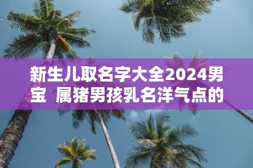 新生儿取名字大全2025男宝  属猪男孩乳名洋气点的