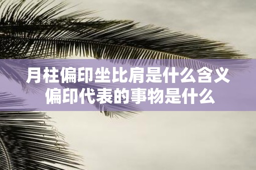 月柱偏印坐比肩是什么含义 偏印代表的事物是什么