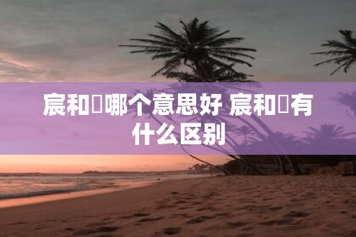 宸和莀哪个意思好 宸和莀有什么区别