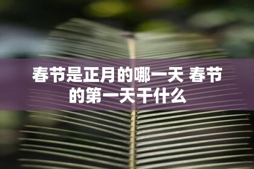 春节是正月的哪一天 春节的第一天干什么
