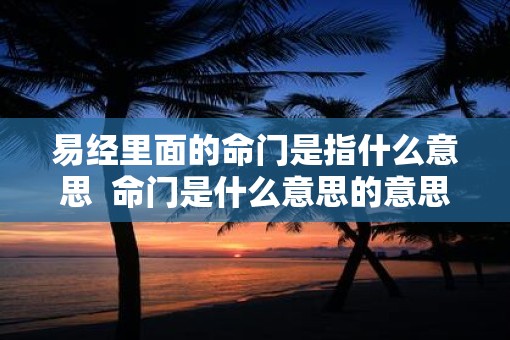 易经里面的命门是指什么意思  命门是什么意思的意思