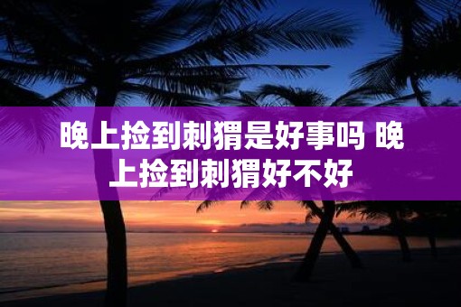 晚上捡到刺猬是好事吗 晚上捡到刺猬好不好