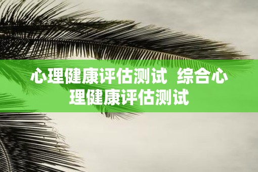 心理健康评估测试  综合心理健康评估测试