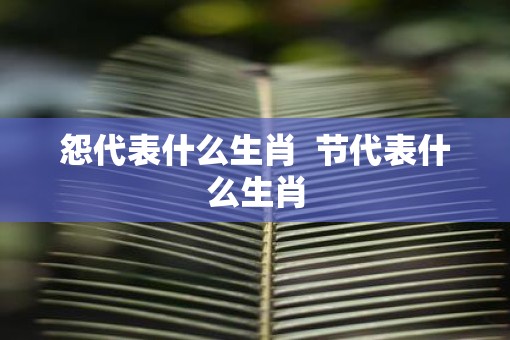怨代表什么生肖  节代表什么生肖