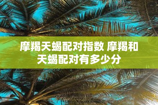 摩羯天蝎配对指数 摩羯和天蝎配对有多少分