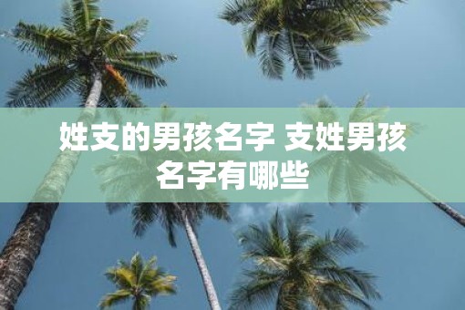 姓支的男孩名字 支姓男孩名字有哪些