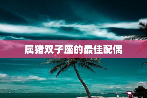 属猪双子座的最佳配偶