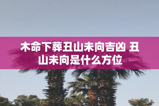 木命下葬丑山未向吉凶 丑山未向是什么方位