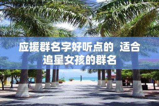 应援群名字好听点的  适合追星女孩的群名