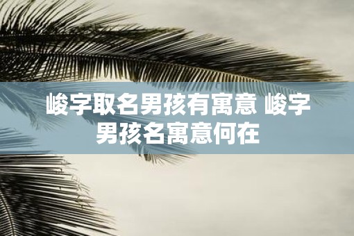 峻字取名男孩有寓意 峻字男孩名寓意何在