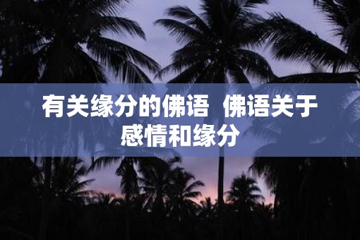 有关缘分的佛语  佛语关于感情和缘分