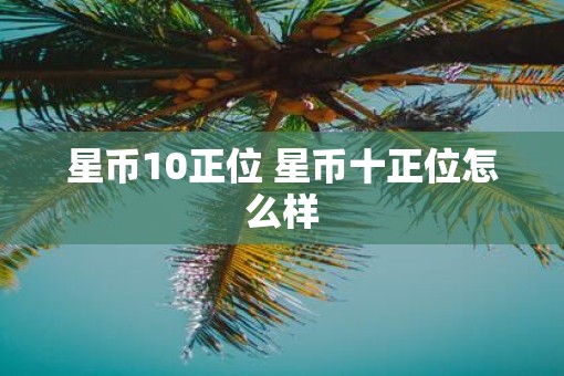 星币10正位 星币十正位怎么样