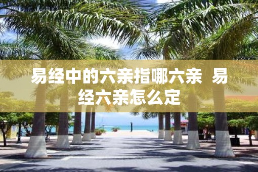 易经中的六亲指哪六亲  易经六亲怎么定