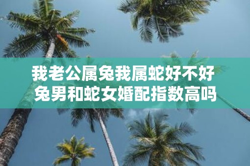我老公属兔我属蛇好不好 兔男和蛇女婚配指数高吗